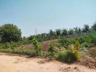 1089 Sq. Yd Residential plot for sale in Jeedimetla