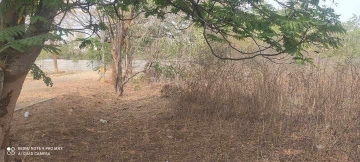 300 Sq.Yd Residential Plot for sale in Kondapur