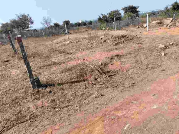 200 Sq. Yd Residential plot for sale in Jeedimetla