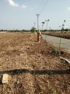 Residential plot for sale in Nallagandla 2997 sq.ft