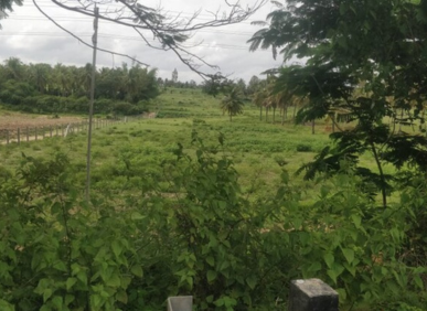 2400 Sq ft Plots for Sale in Ganganagar