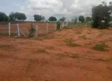 Plots for sale by My City 2 at Divitipally