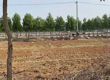 Residential Plots for Sale at Asnapark in turkapally