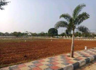 Residential Plots for Sale at ASR Hans in Narayankhed